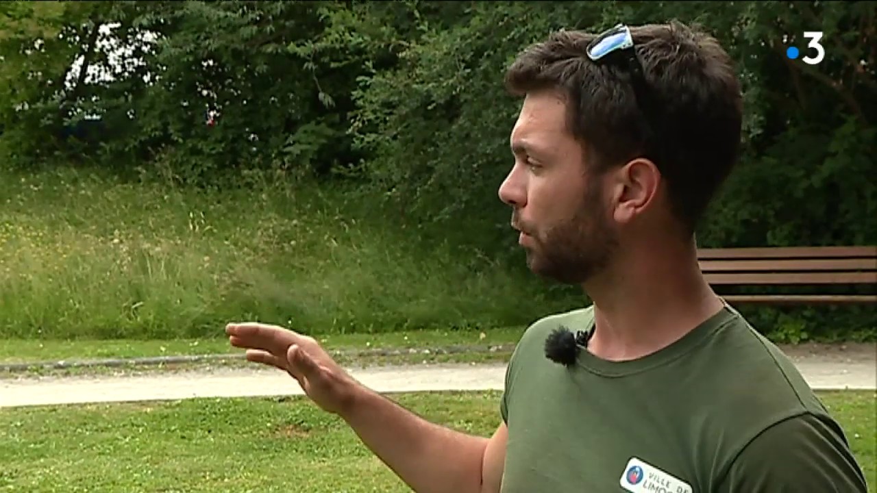 Tourisme: Limoges voit la vie en vert