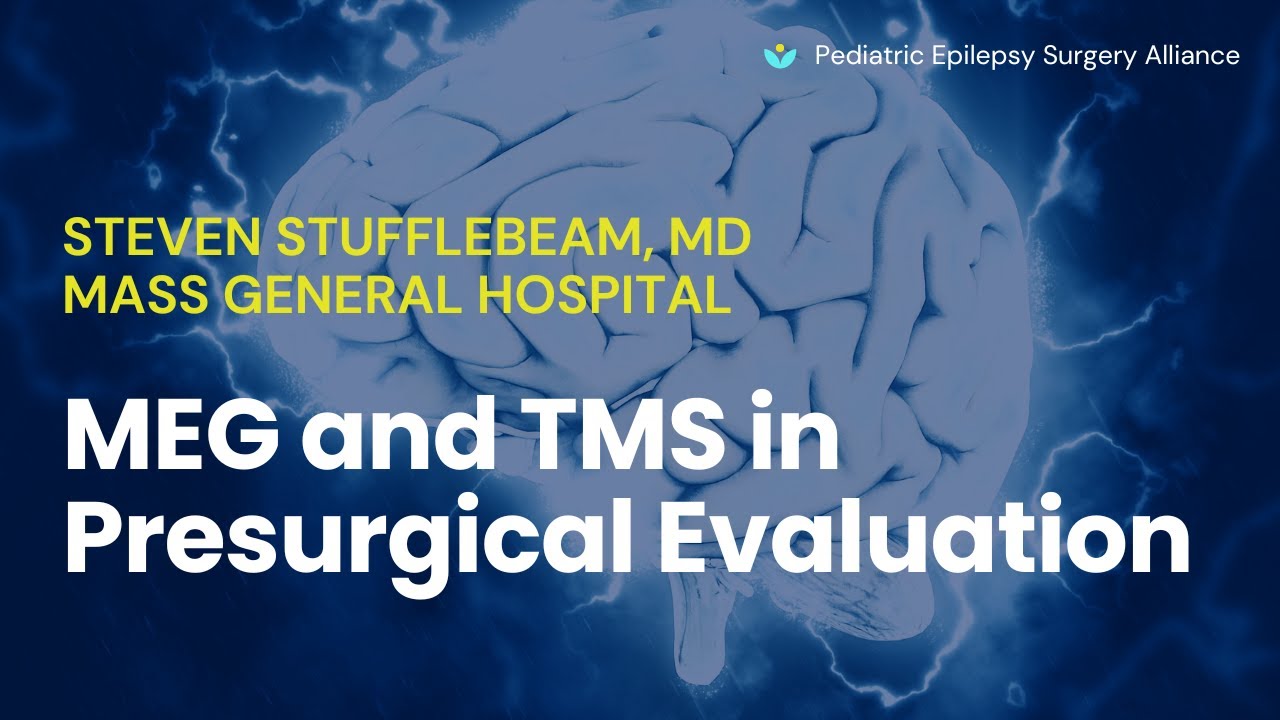 MEG and TMS in Presurgical Evaluation