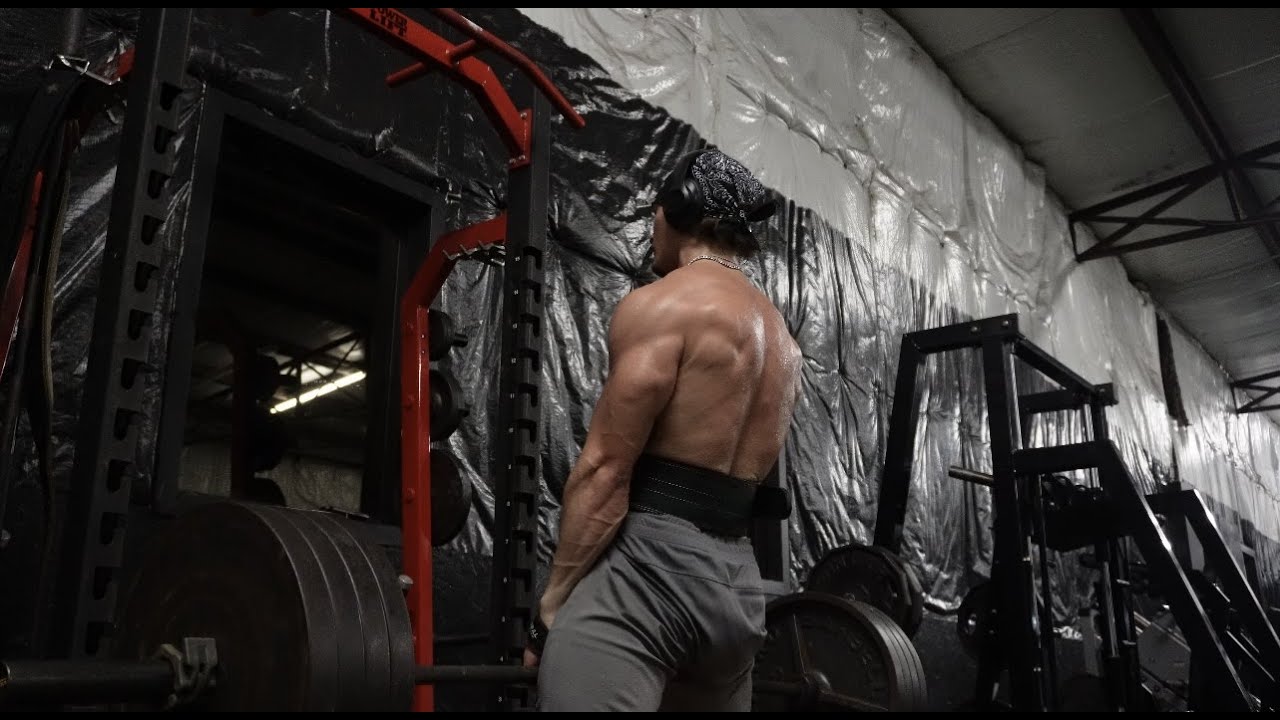 #5 | Back and biceps 2