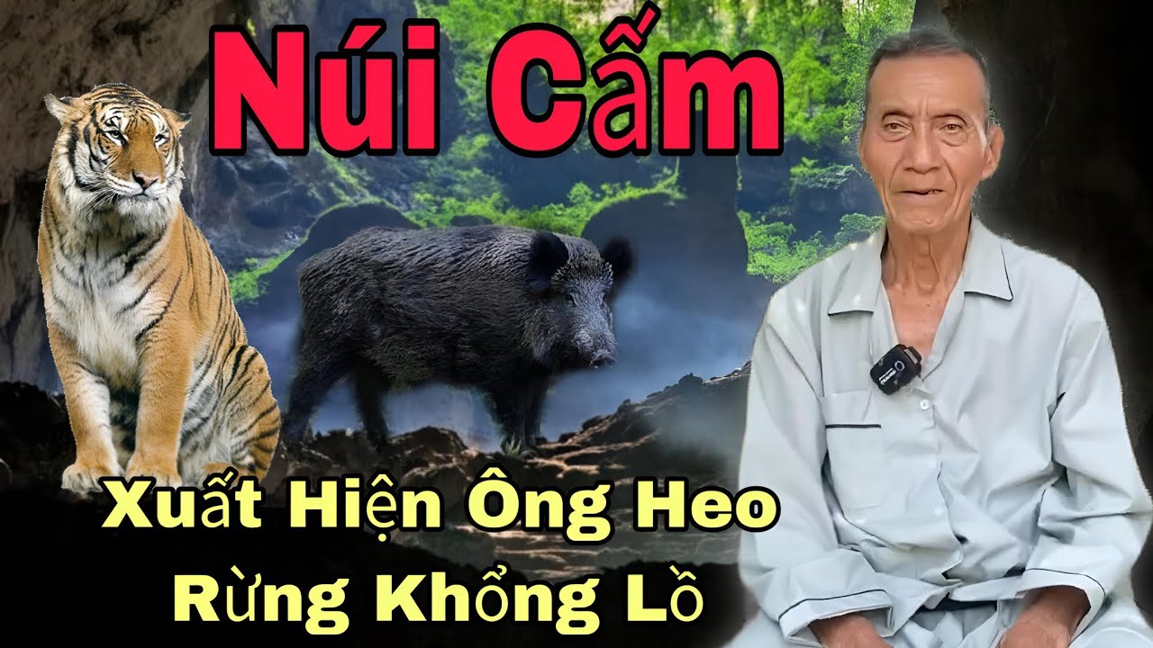 Núi cấm xuất hiện ông Heo Và Ông hổ khổng lồ..