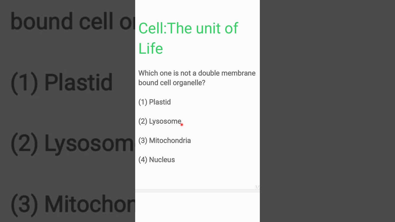 Cell:The unit of life🔥| Quick Revision🔥| MCQ Practice| Neet Biology ✨️