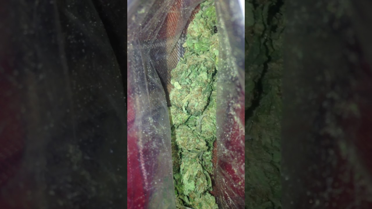 Quarter oz of weed up close