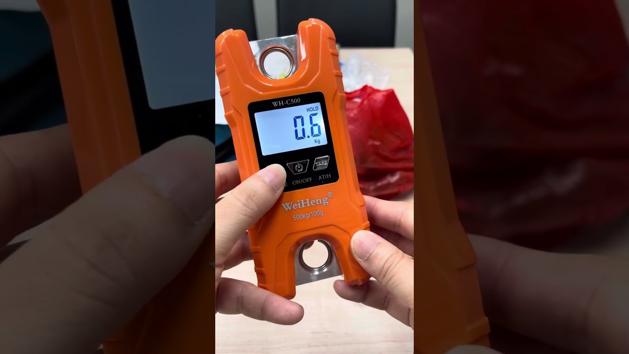 WH-C500 500kg crane scale manufacturer how to remove hold function