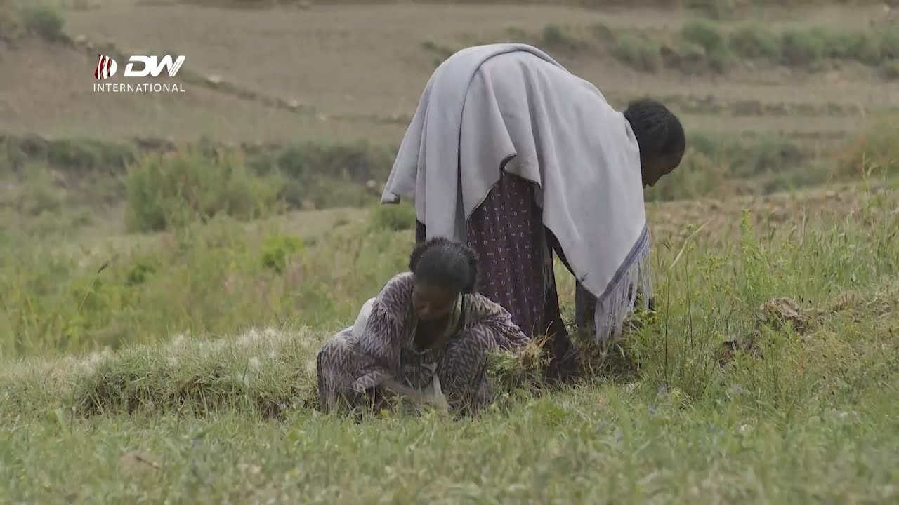 DW TV  ሓደጋ ! ድርቂ ዒስራ ዓዲ ወጀራት