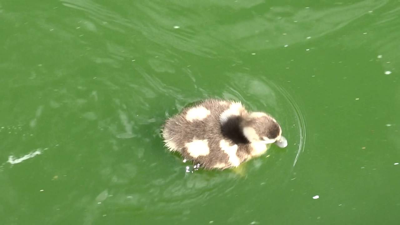 Beleef de lente in Amsterdam / Spring Fever / Lentekriebels