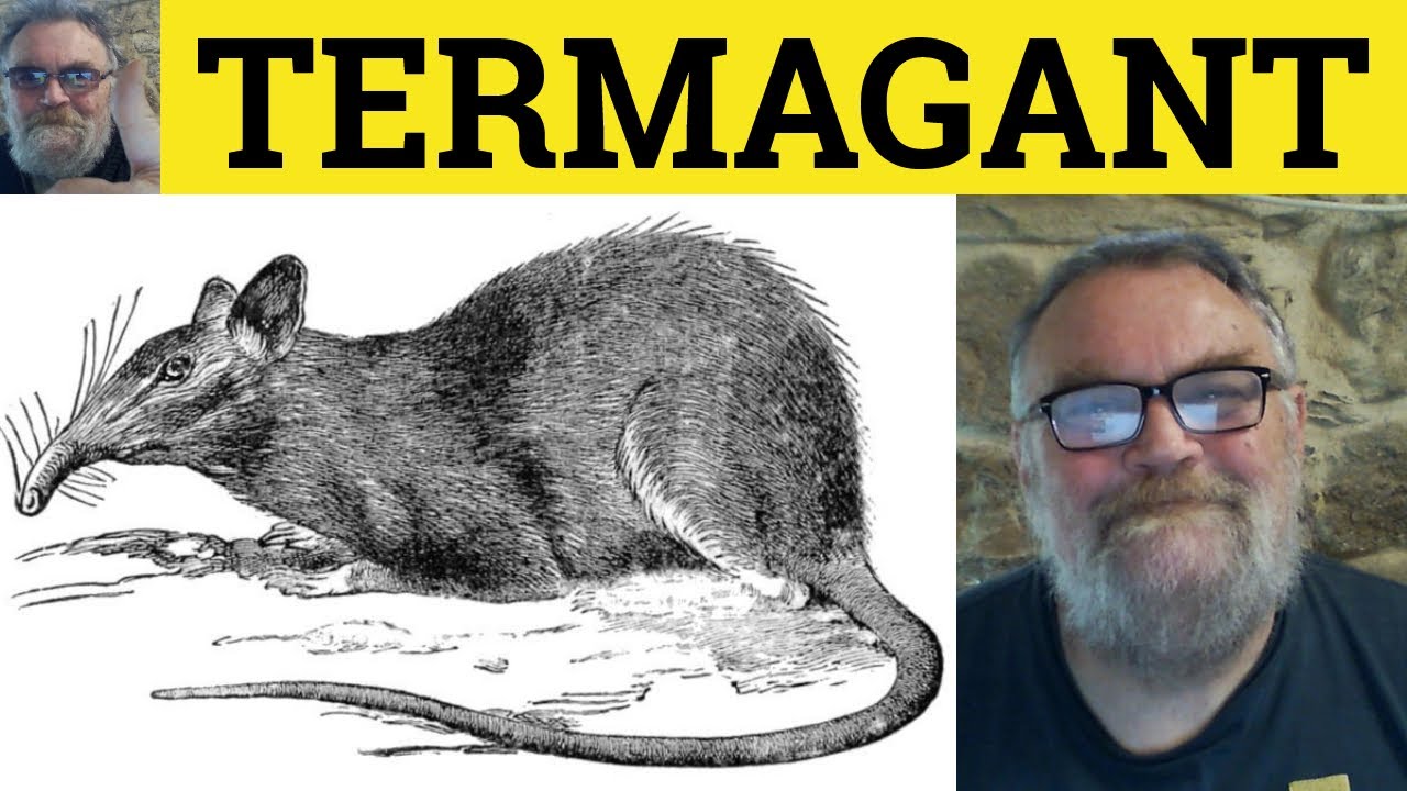 🔵 Termagant Meaning   Termagant Examples   Termagant Defined   Termagant Origin - Literary English
