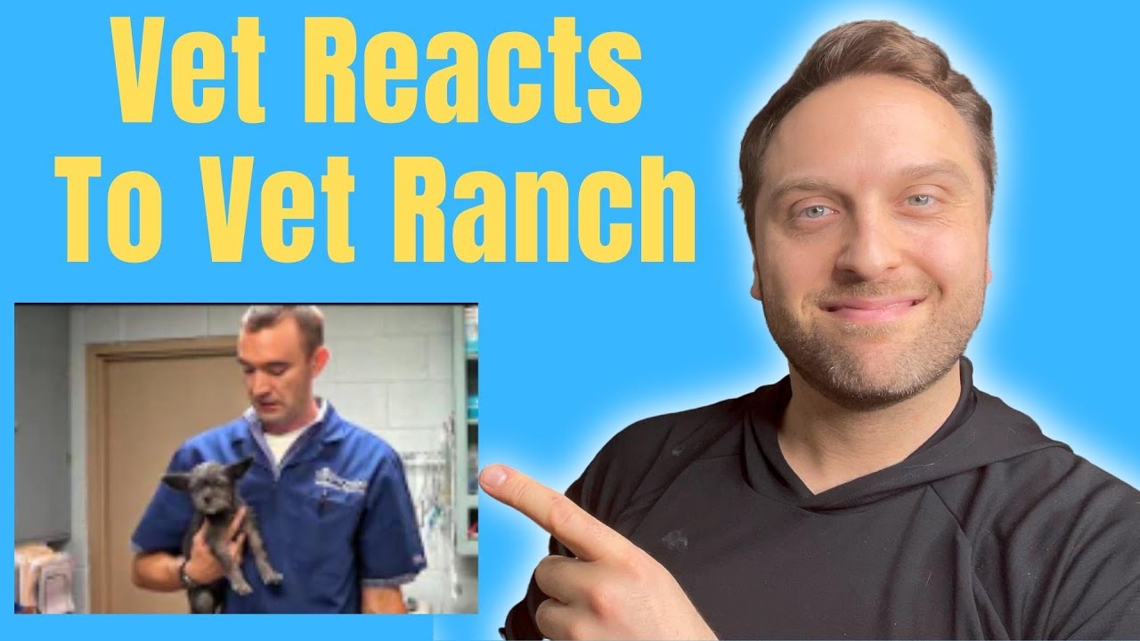 Vet Reacts To An Episode of Vet Ranch