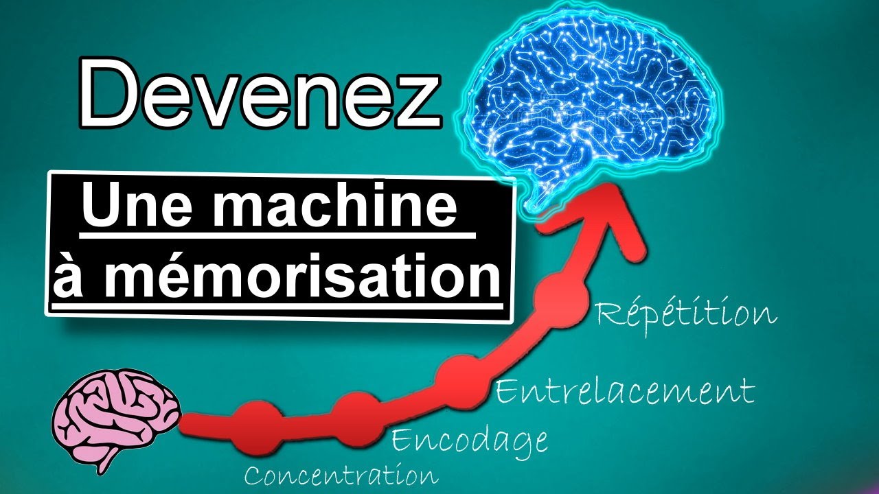 04 étapes pour transformer son cerveau en machine à mémorisation