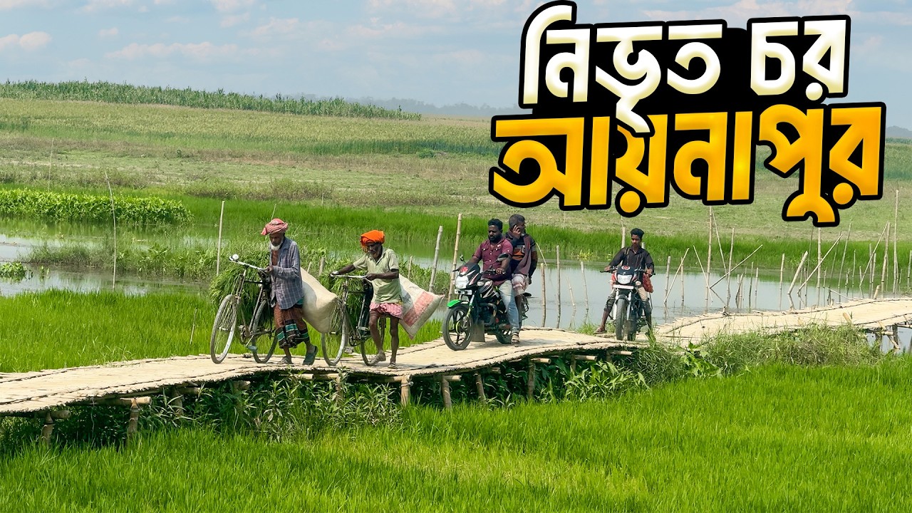 নির্জন আয়নাপুর চরের মানুষের সুখ-দুঃখের গল্প । Kustia Daulatpur Char