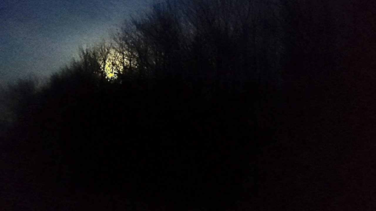 Part 9: quiet environment investigation - forest.