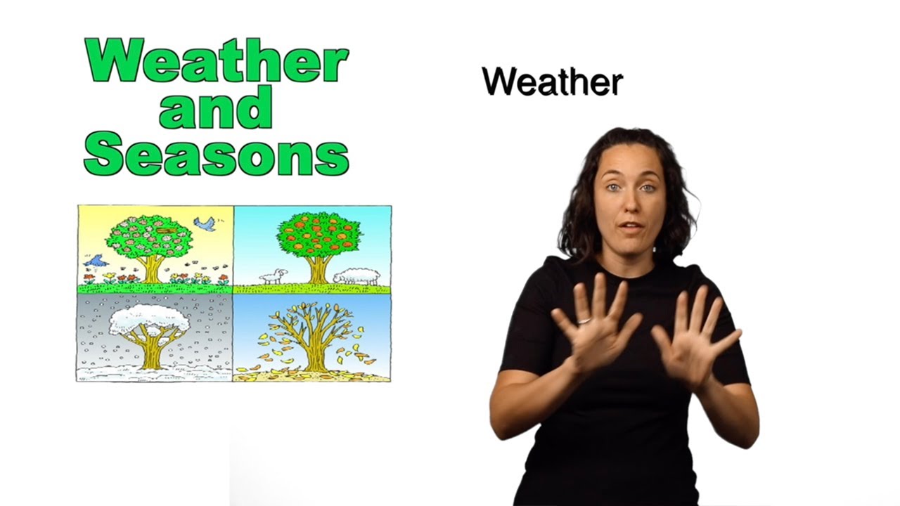 Kids Sign - Weather and Seasons