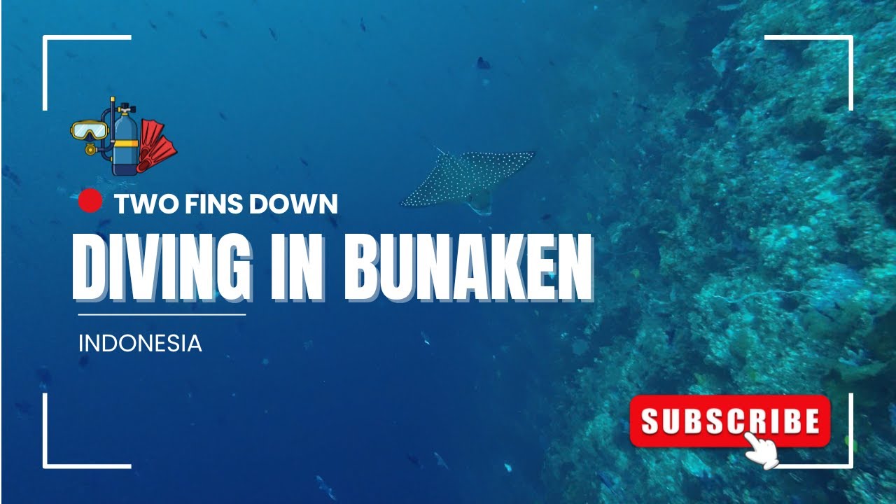 Diving in Bunaken part 2 I Eagle rays I Sharks I Dolphins I Manado, Indonesia I Two Fins Down
