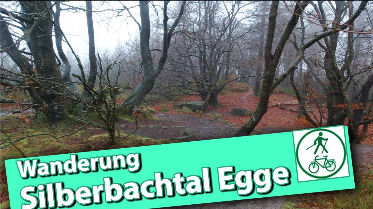 Wanderung Silberbachtal Velmerstot Egge Teutoburger Wald 9Km
