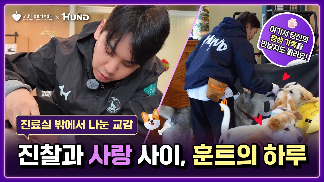 🐶당신의동물의료센터ㅣ진찰과 사랑 사이, 훈트의 하루!✨