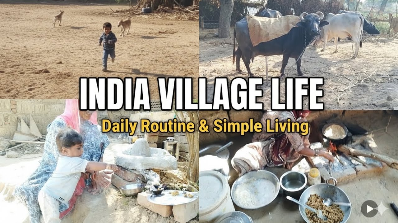 Indian Village Life – Simplicity at Its Best!  #shortsfeed #villagelife 