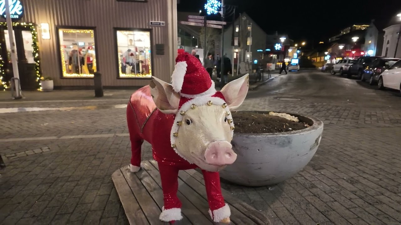 Reykjavik Walking Tour With Dji Pocket 3
