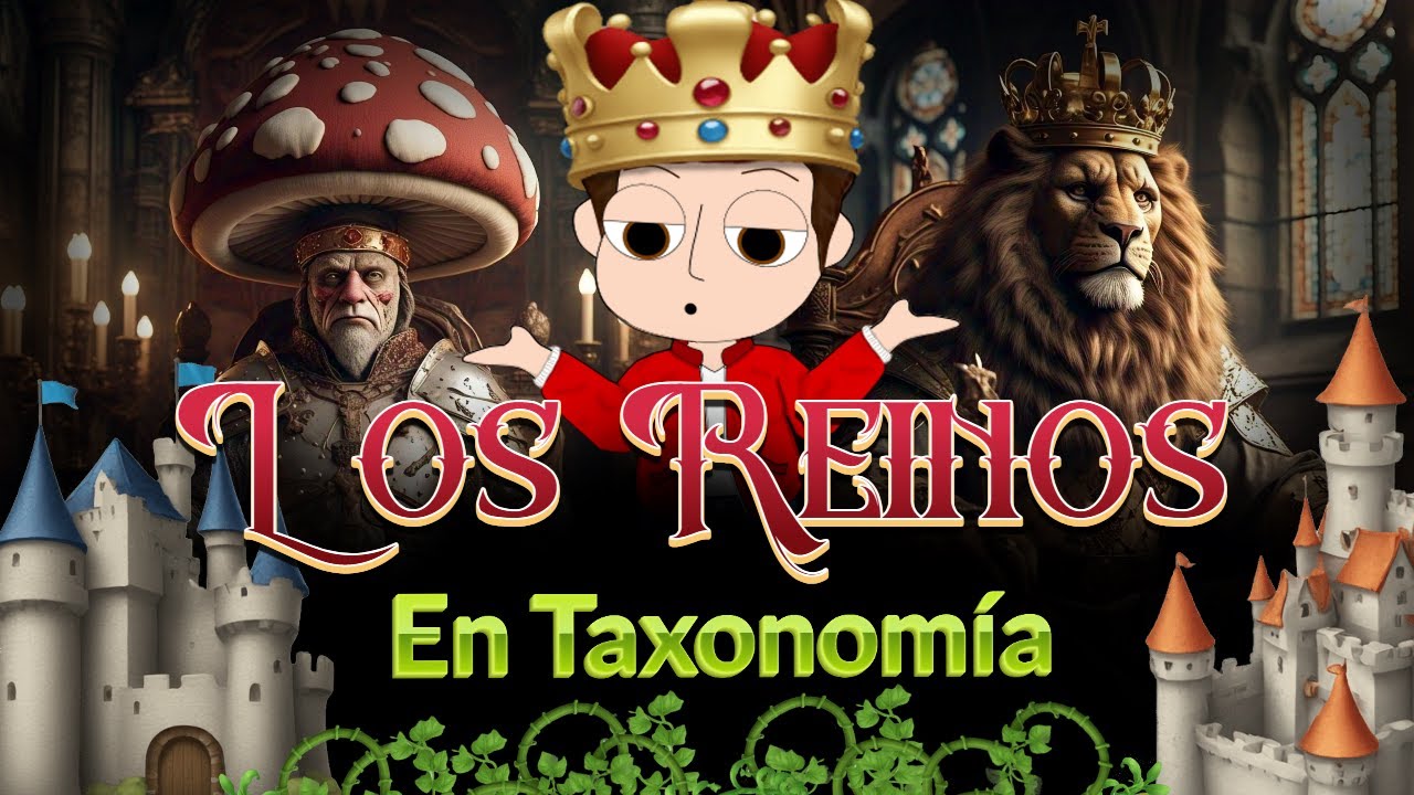 ¿QUÉ SON LOS REINOS? -Taxonomía -ZICFiles