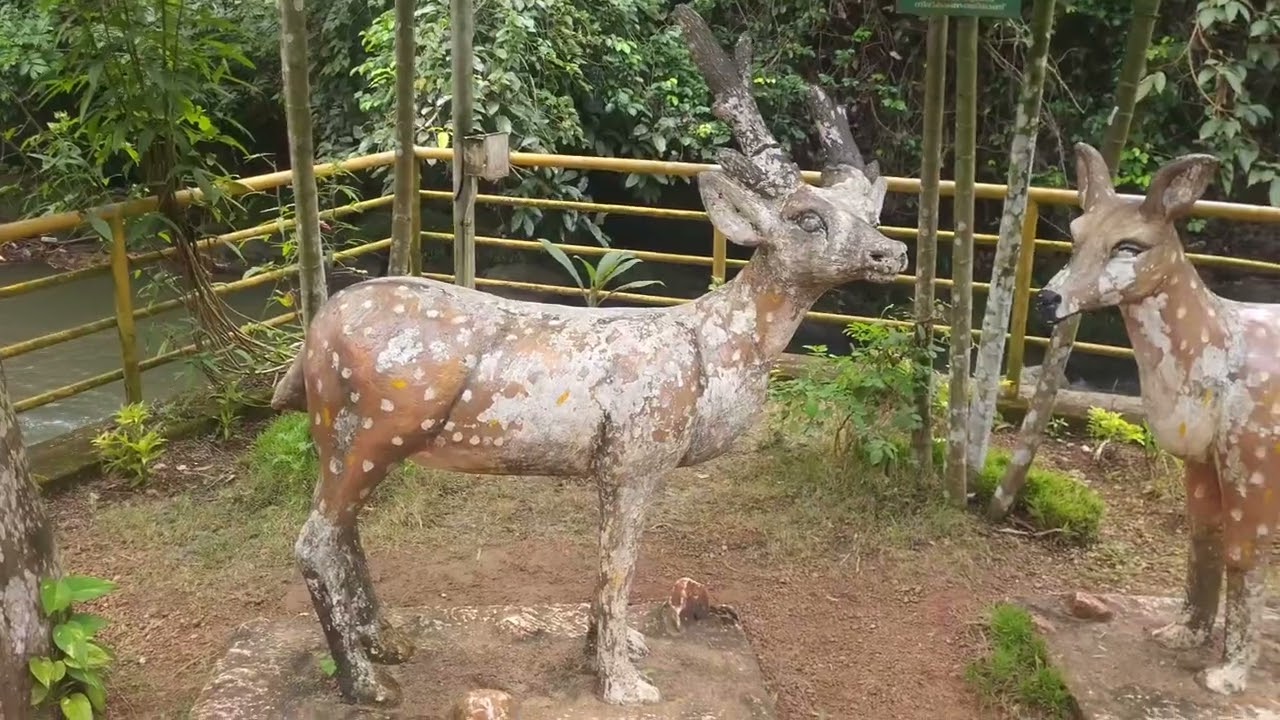 മീൻപിടിപ്പാറ Tourism വിശദമായ കാഴ്ചകൾ ഉള്ള വീഡിയോ