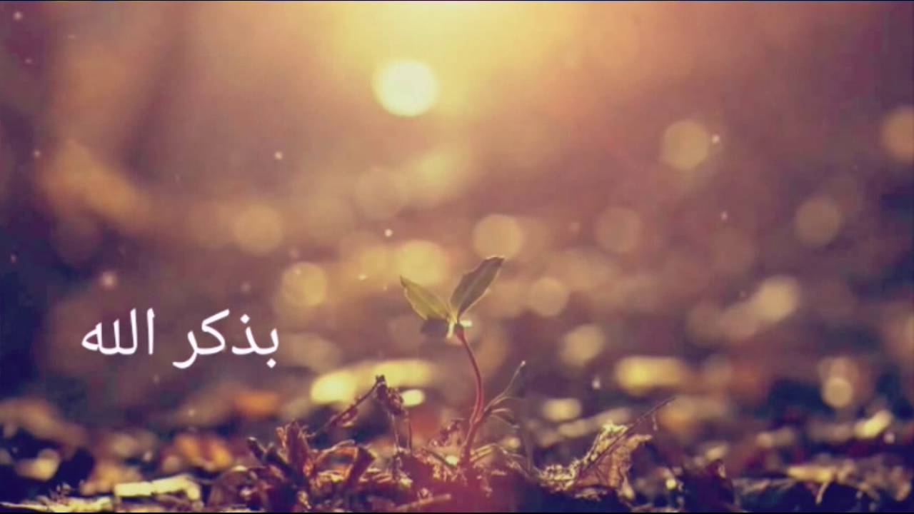 ابتهال بذكر الله - عبد الرحيم دويدار