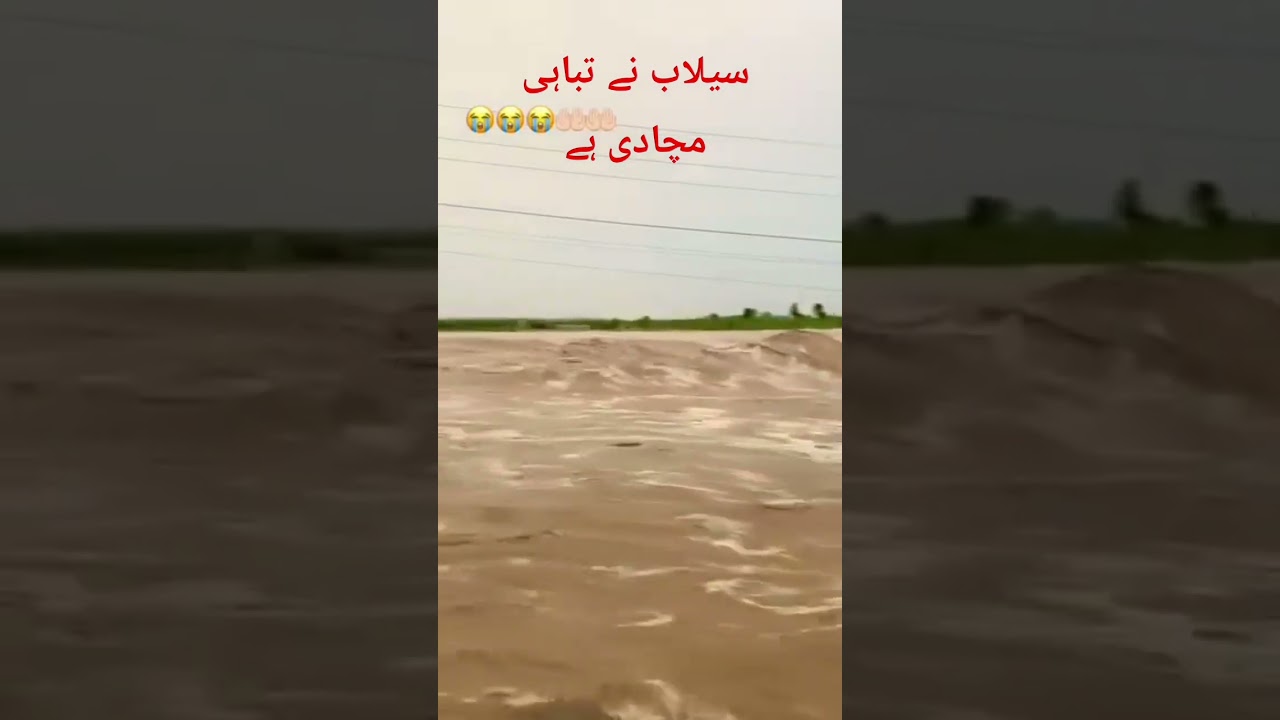 ⚠️ Chenab River in full fury! 🌊 #flood #chenabriver #shorts #travelvlog