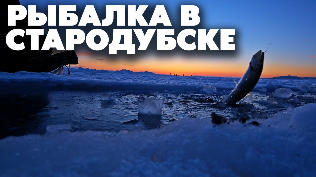 В Стародубское за корюшкой и навагой, Сахалин рыбалка