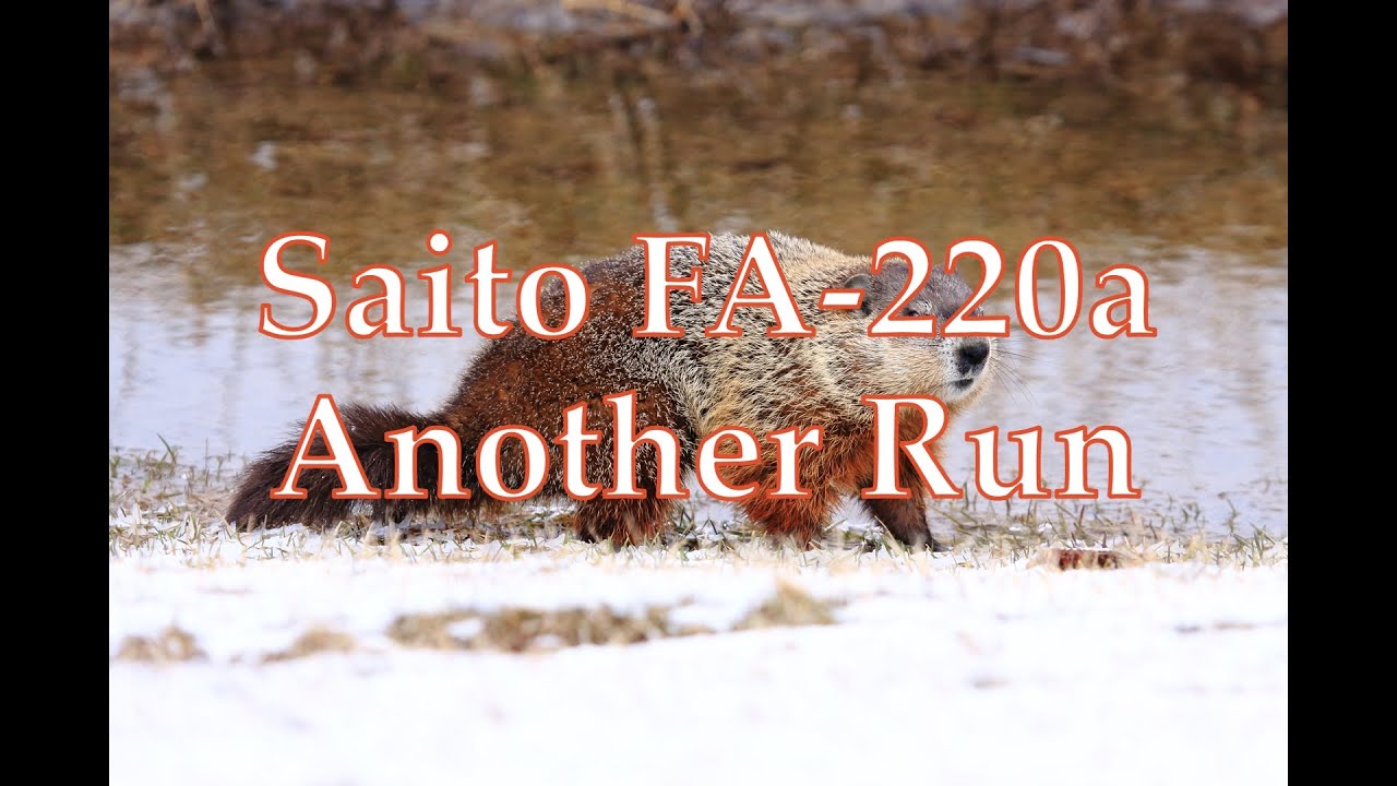 Saito FA-220a Another Run