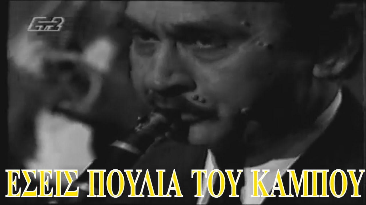 ΓΙΑΝΝΗΣ ΚΩΝΣΤΑΝΤΙΝΟΥ ΕΣΕΙΣ ΠΟΥΛΙΑ ΤΟΥ ΚΑΜΠΟΥ  -ΖΩΝΤΑΝΑ