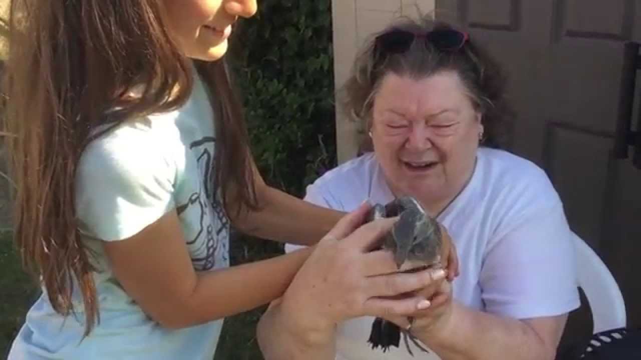 The Birdmum of Moulsham