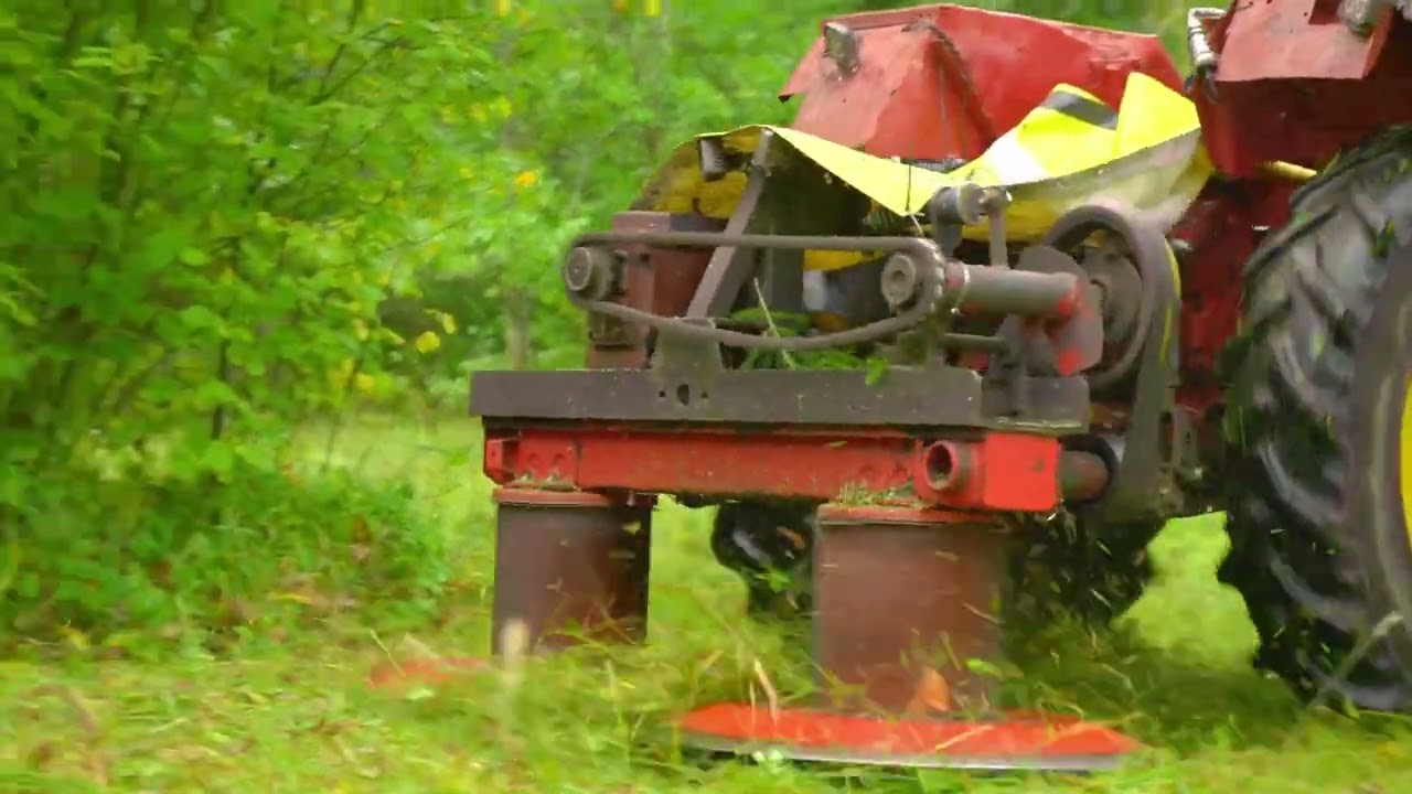 Veiko Ülejõe: aga minul on puisniit...