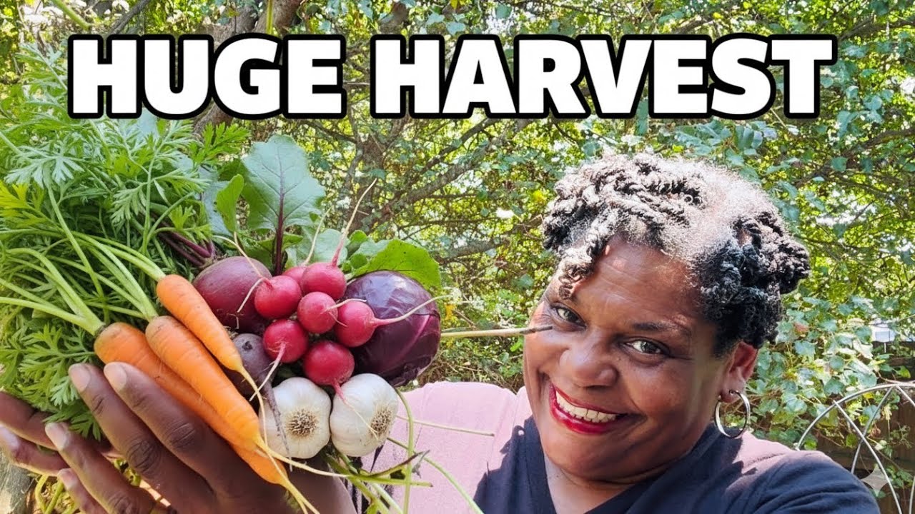 13 Crops Crops You Can Still Plant in October!