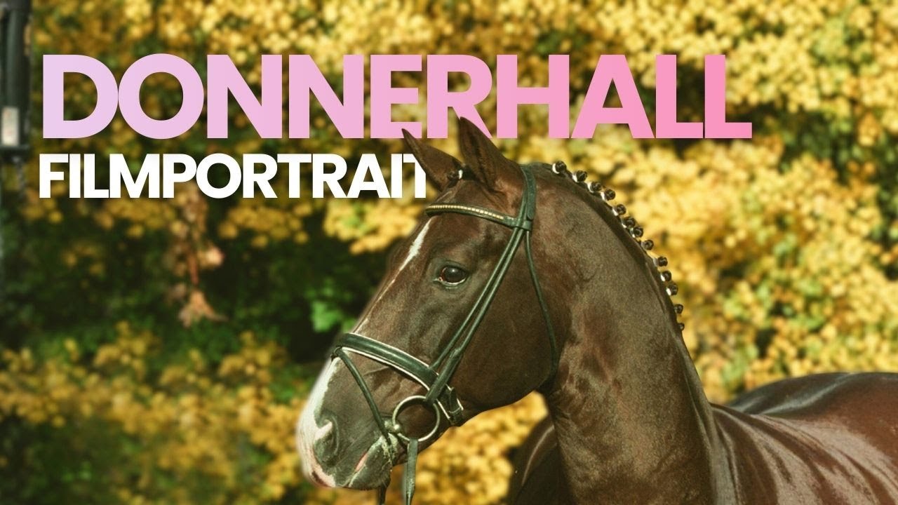 Donnerhall - ein Denkmal ganz privat