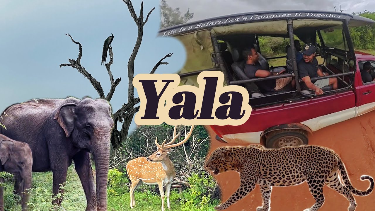 3-day safari in Yala National Park, Sri Lanka