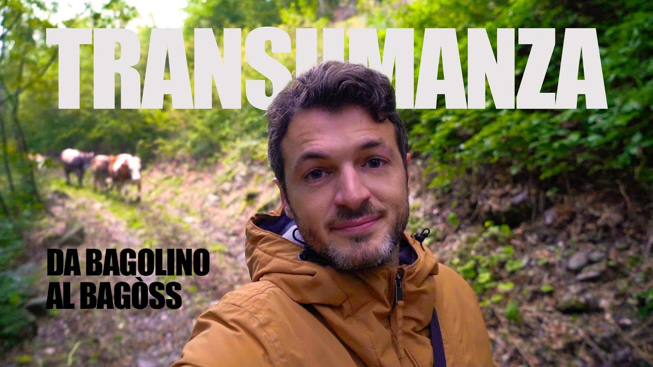 TRANSUMANZA - Da Bagolino al Bagòss