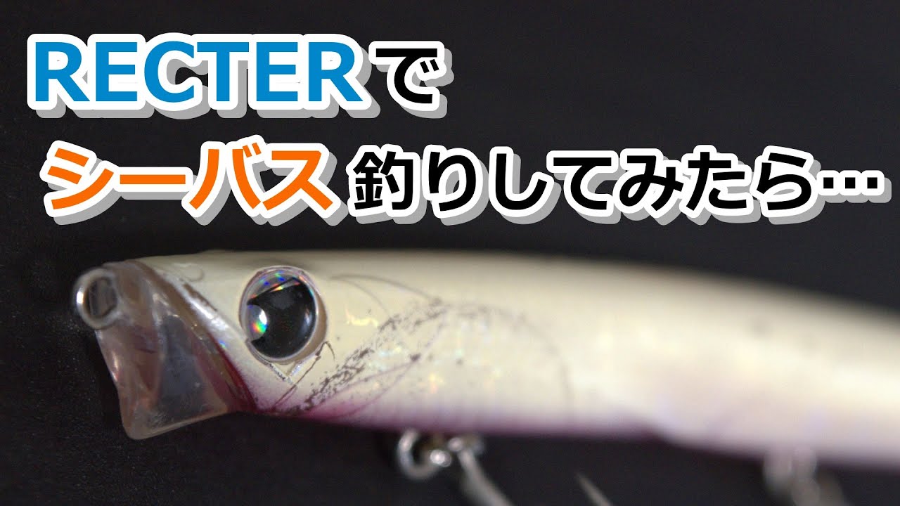 RECTER(レクター)でシーバス釣りしてみたら…