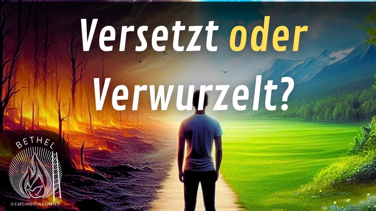 Versetzt oder Verwurzelt? - In Zeiten der Dürre | Mirco W. | Gemeinde Bethel Neuwied + Anbetung