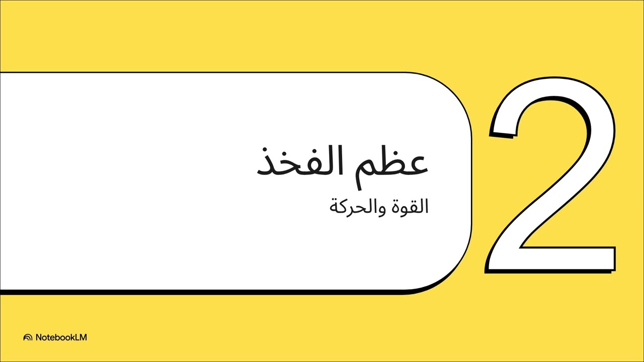 بنية الطرف السفلي
