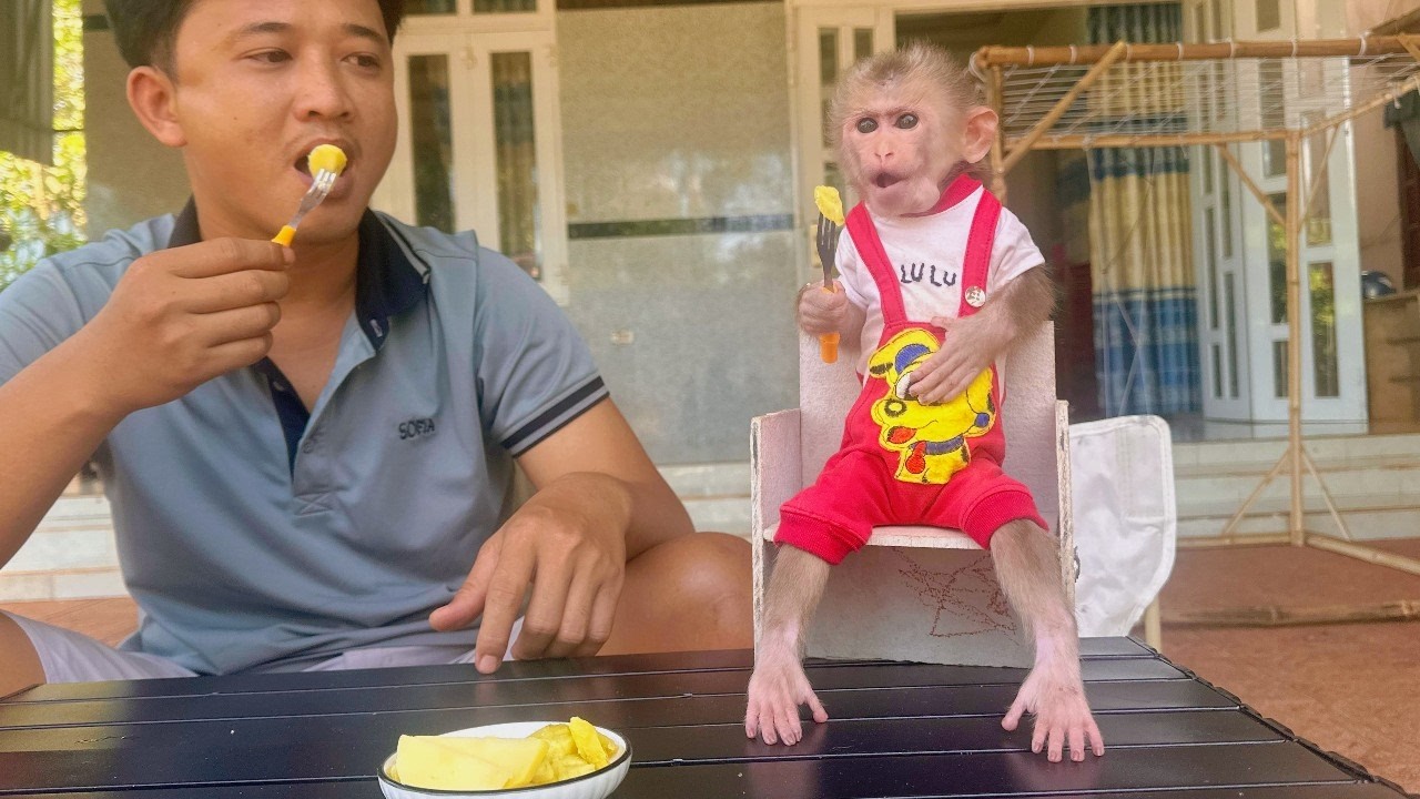 Lulu’s Family Enjoying a Peaceful Morning Together