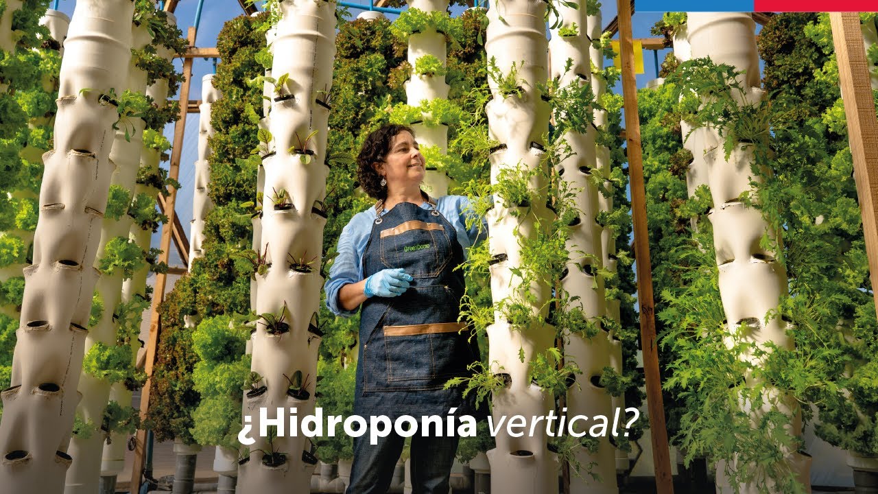 ¿Hidroponía vertical?