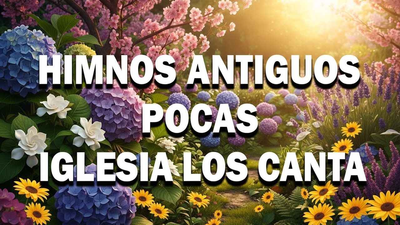 🕊️ 50 HIMNOS QUE DEVUELVEN LA ALEGRÍA AL CORAZÓN TRISTE — Colección Dorada 2026