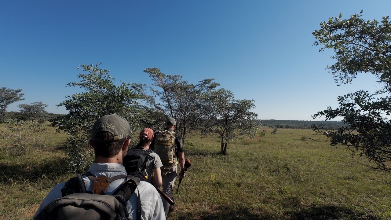 Epic bushwalk with lions