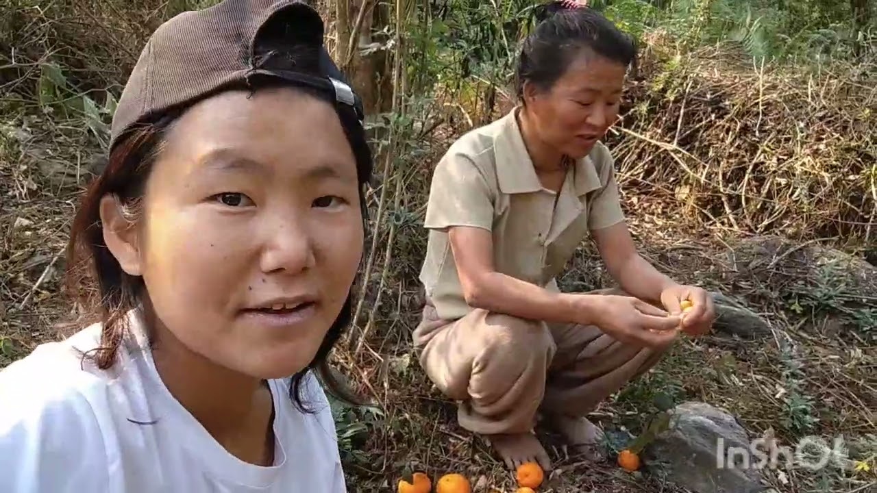 Aj hum lok jungle mai orange 🍊 Lene gaya tha ..🌿