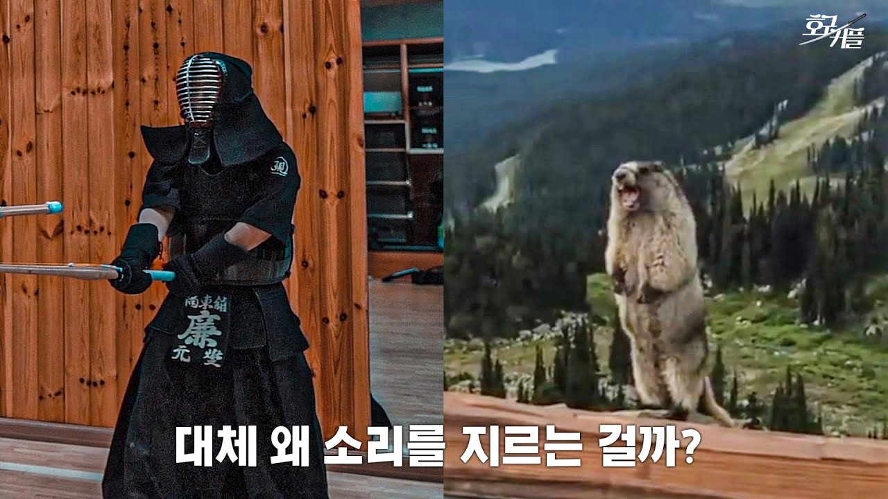 대체 왜 시끄럽게 소리지르는 걸까?