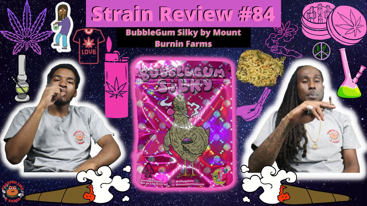 Strain Review #84: BubbleGum Silky by Mount Burnin Farms