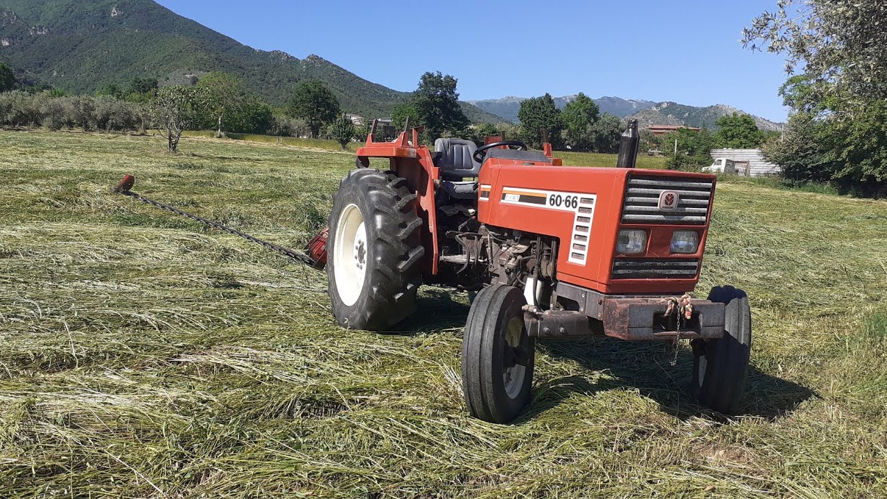 FALCIATURA MISCUGLIO | FIATAGRI 60-66 - BARRA FALCIANTE GASPARDO