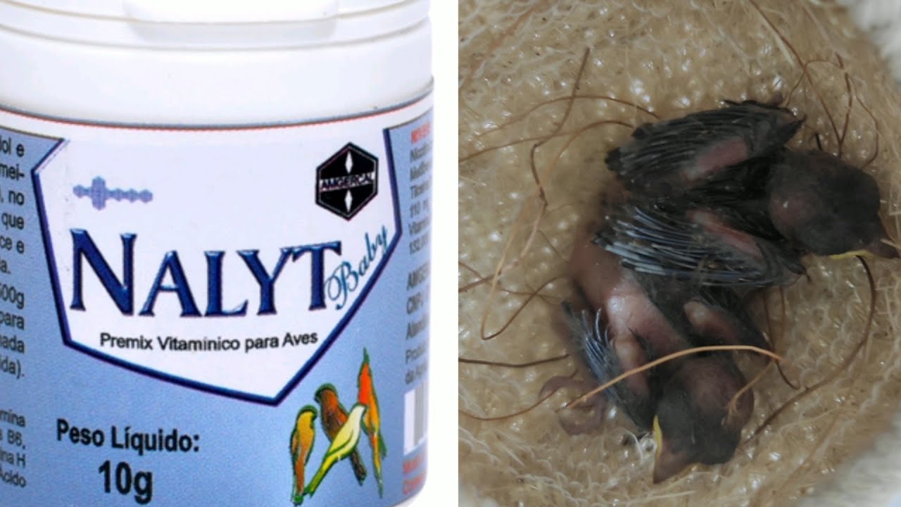 NALYT BABY, GRANDE ALIADO  PARA EVITAR MORTE DE FILHOTES