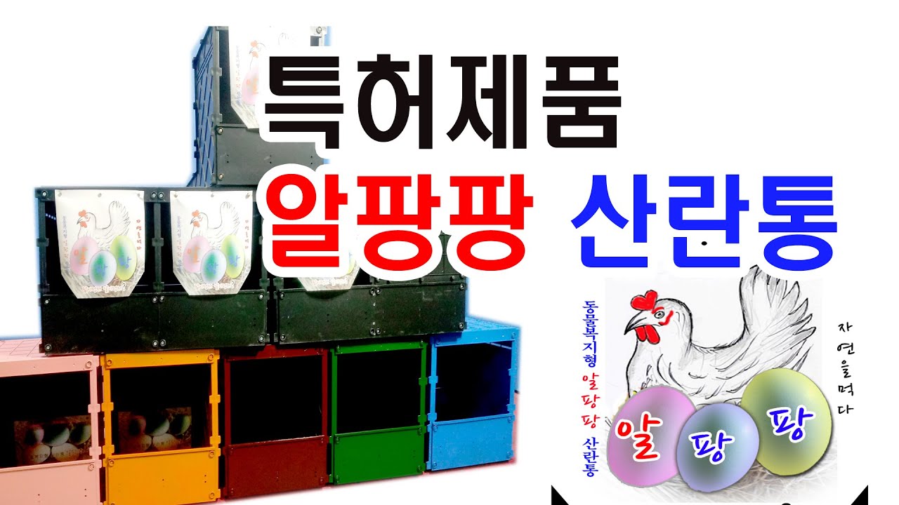 특허 제품 동물 복지 형 알팡팡 닭 산란 통 닭 둥지 산란 장 산란 실 절찬리에  판매중 010-8430-8633