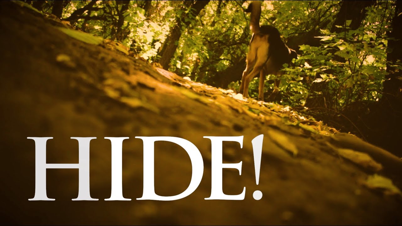 Hide! (Cameron Olsen Cut)