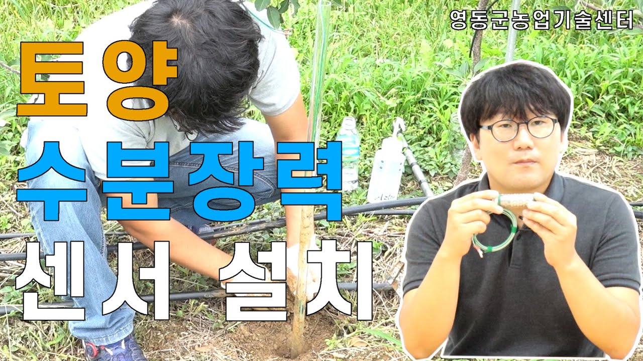 토양 수분장력 센서 설치