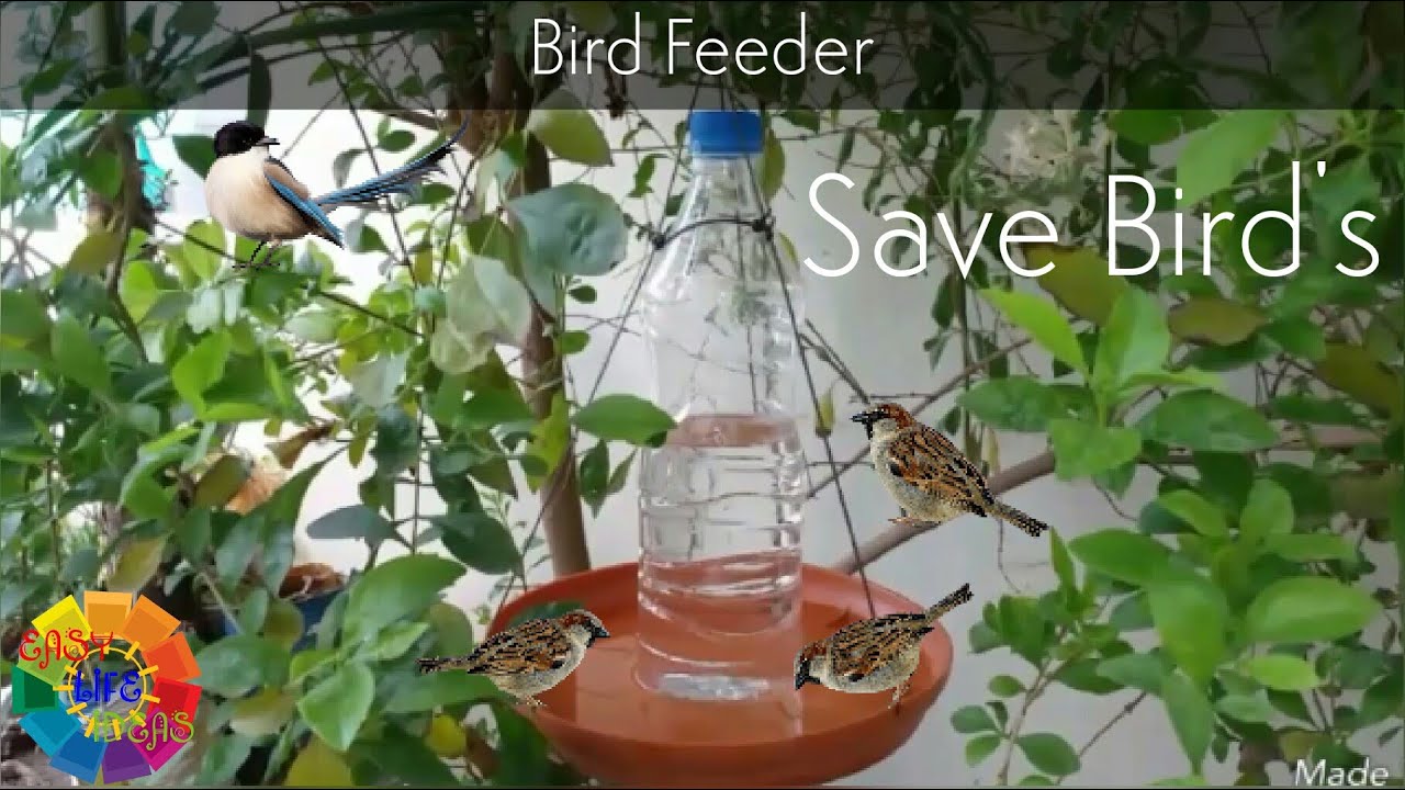 Hummingbird feeder, Bird Feeder from Water Bottle, Best Technic for Water Feeder.