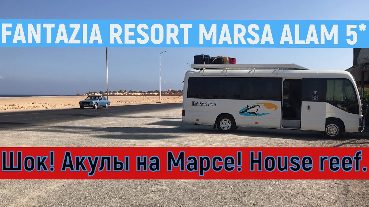 Fantazia Resort Marsa Alam 5*. Шок! Акулы на Марсе! House reef.